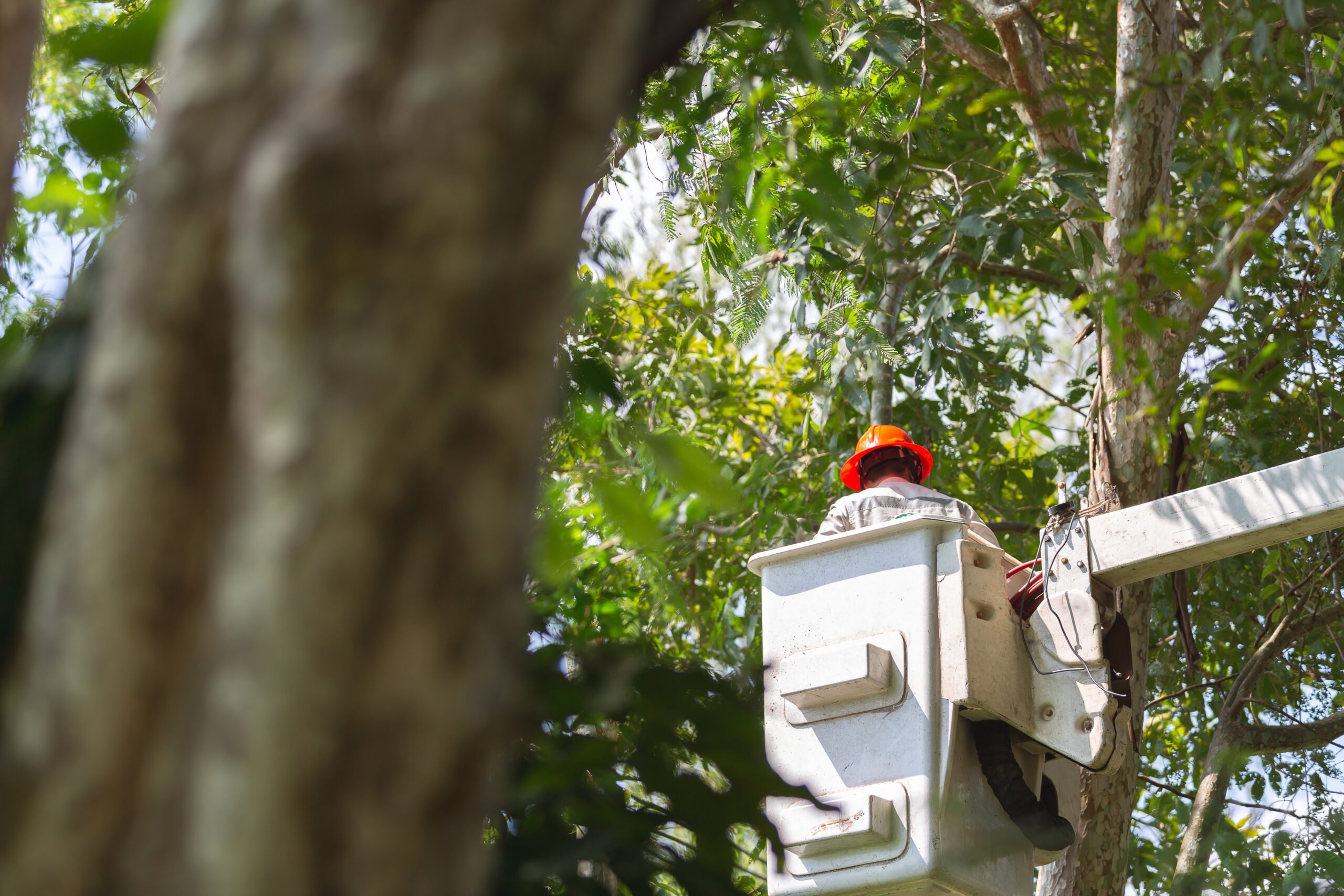 Empire Access Fiber Internet Bucket Truck Employees Apply Today Join Our Team Jobs