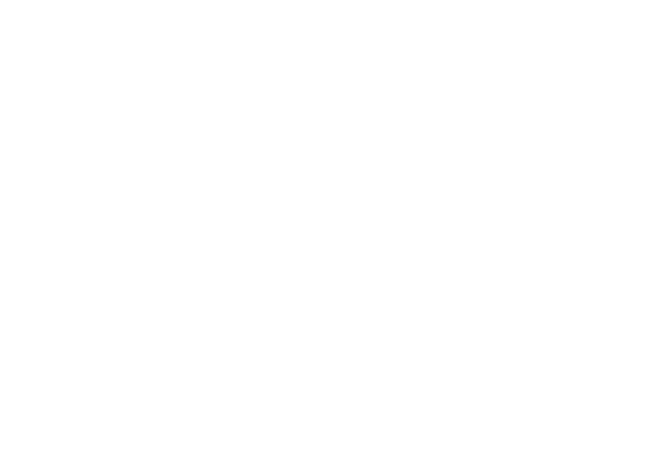 Empire Access Logo - white